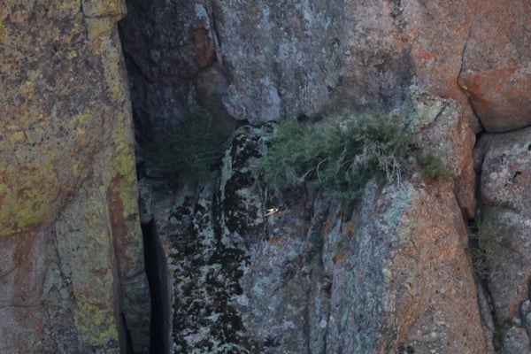 Narrow rocky canyon with colorful stratified stone walls and sparse vegetation viewed from ground level at Painted Wall. — Painted Wall View, Black Canyon of the Gunnison