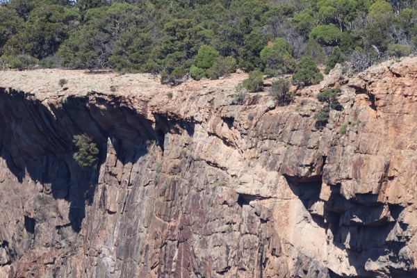 Columnar basalt cliffs with forested rim at Painted Wall View, showcasing dramatic rock formations and layered… — Painted Wall View, Black Canyon of the Gunnison
