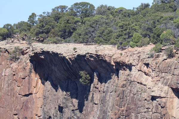 Painted Wall View displays columnar basalt formations and natural stone arch framed by juniper forest near Crawford… — Painted Wall View, Black Canyon of the Gunnison