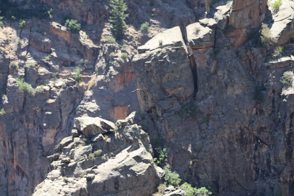Deep rocky canyon with stratified cliff walls and scattered vegetation at Chasm View, Colorado. — Chasm View, Black Canyon of the Gunnison