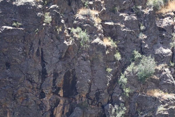 Columnar basalt rock formations with sparse vegetation at Chasm View near Montrose, Colorado. — Chasm View, Black Canyon of the Gunnison