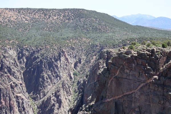 Deep canyon with towering rock formations and forested slopes viewed from Dragon Point overlook in Montrose, Colorado. — Black Canyon of the Gunnison