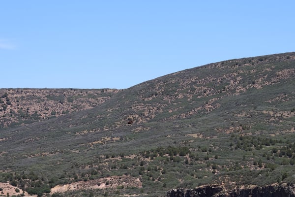 Rolling desert hills with sparse pinyon-juniper woodland vegetation at Rock Point, Colorado. — Rock Point, Black Canyon of the Gunnison