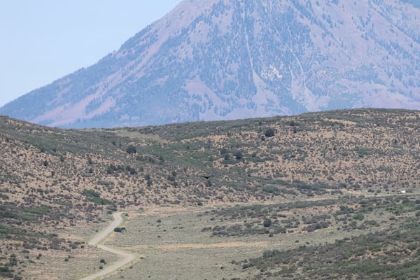 Conical mountain with forested slopes viewed across sagebrush-covered hills and a winding dirt road in the Colorado… — Rock Point, Black Canyon of the Gunnison
