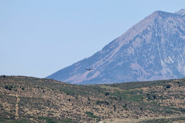 Conical mountain with forested slopes and scrubland foreground viewed from Rock Point near Montrose, Colorado, with a… — Rock Point, Black Canyon of the Gunnison