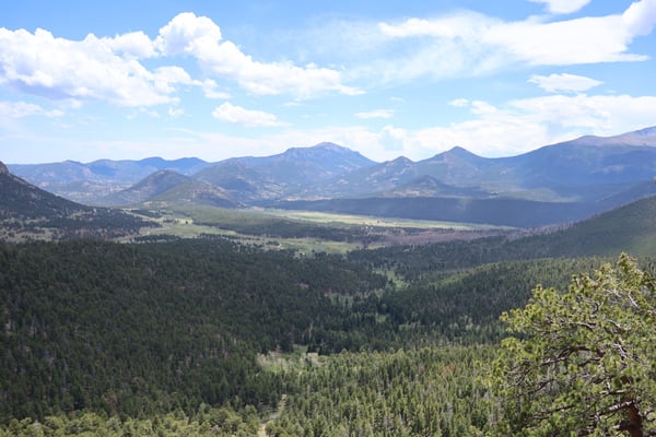 Expansive mountain valley with forested slopes and distant peaks viewed from Many Parks Curve Overlook on Trail Ridge… — Many Parks Curve Overlook, Rocky Mountain National Park