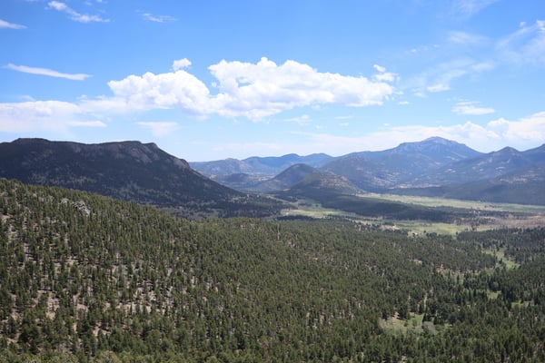Expansive mountain valley with dense coniferous forest viewed from Many Parks Curve Overlook on Trail Ridge Road. — Many Parks Curve Overlook, Rocky Mountain National Park