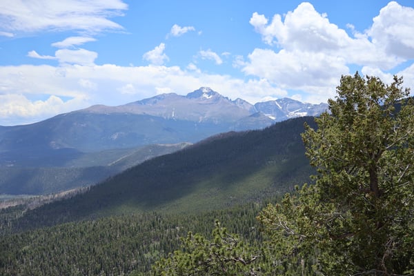 Snow-capped mountain peak rises above dense coniferous forest valleys, viewed from Many Parks Curve Overlook on Trail… — Many Parks Curve Overlook, Rocky Mountain National Park