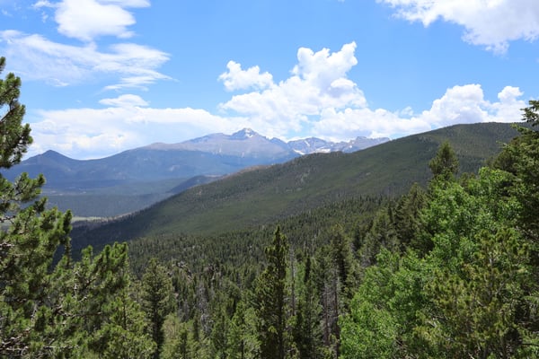 Snow-capped mountain peaks and forested valleys viewed from Many Parks Curve Overlook on Trail Ridge Road. — Many Parks Curve Overlook, Rocky Mountain National Park