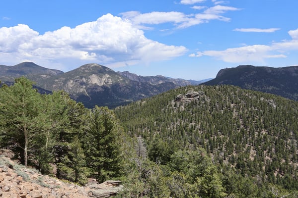 Alpine forest and mountain ranges viewed from Many Parks Curve Overlook on Trail Ridge Road, Colorado. — Many Parks Curve Overlook, Rocky Mountain National Park