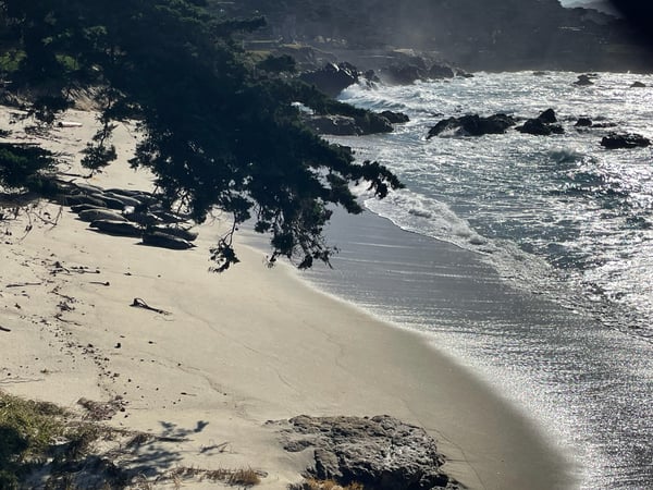 Rugged coastal beach with driftwood and crashing waves among rocky outcrops along California's rocky shoreline. — Monterey & Carmel
