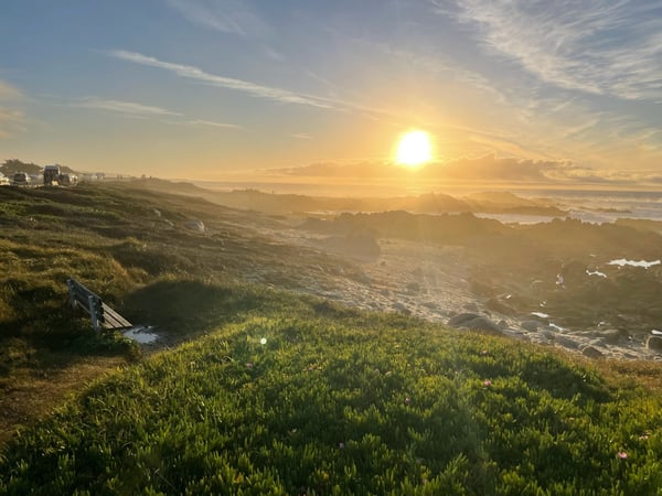 Coastal cliffs with succulent plants overlooking a rocky shore and ocean at sunset in Pacific Grove, California. — Pacific Grove Acres, Monterey & Carmel