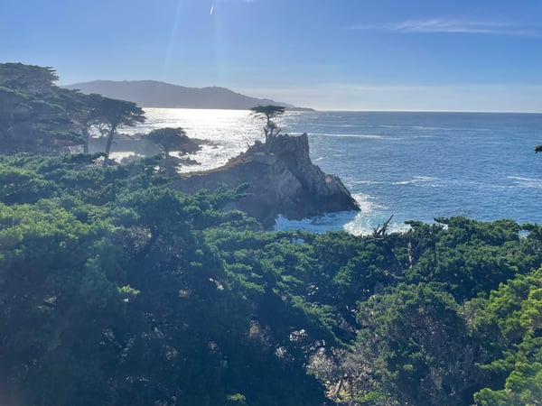 Lone Cypress Point Lookout overlooks a rocky coastal outcrop surrounded by cypress trees and the Pacific Ocean. — Lone Cypress Point Lookout, Monterey & Carmel
