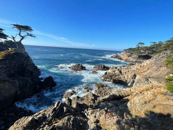 Lone Cypress Point Lookout: windswept cypress tree on rocky headland overlooking Pacific Ocean with crashing waves and… — Lone Cypress Point Lookout, Monterey & Carmel