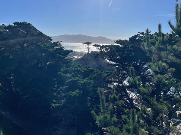 Coastal vista with forested cliffs, cypress trees, and distant mountains across the bay from Lone Cypress Point Lookout. — Lone Cypress Point Lookout, Monterey & Carmel