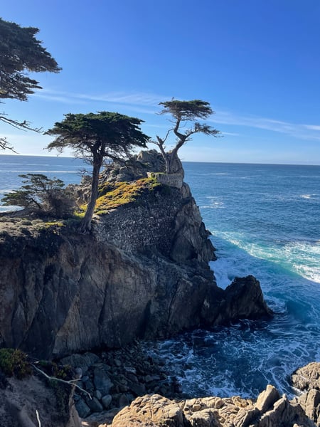 Windswept cypress tree on rocky coastal bluff overlooking the Pacific Ocean at Lone Cypress Point Lookout. — Big Sur & the Highway 1 Coast