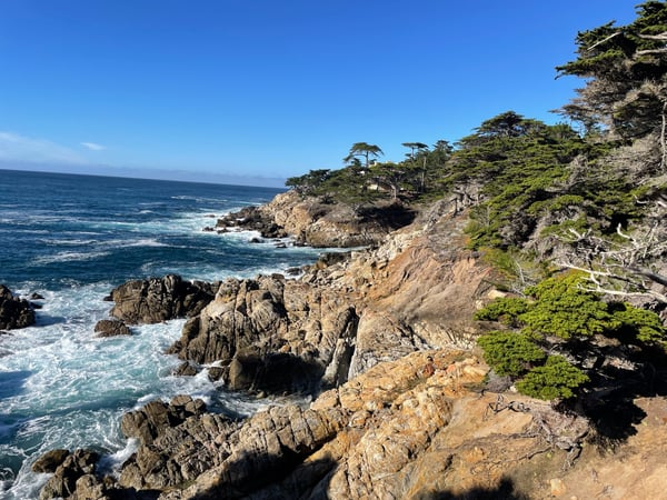 Rocky coastline with cypress trees and crashing waves viewed from Lone Cypress Point Lookout in California. — Lone Cypress Point Lookout, Monterey & Carmel