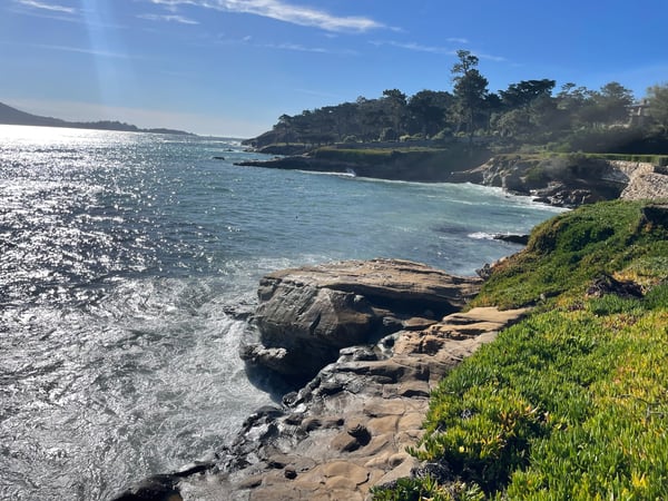 Rocky coastline with turquoise cove and forested headland viewed from grassy clifftop overlooking the Pacific. — Pebble Beach, Monterey & Carmel
