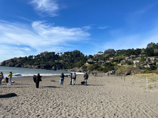 Sandy beach with visitors and breaking waves, backed by forested hillside with residential homes at Muir Beach… — Muir Beach, San Francisco