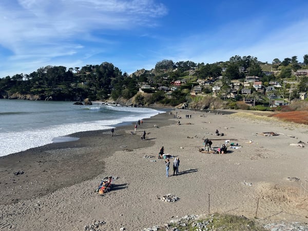 Muir Beach cove with dark sand, gentle waves, and hillside homes viewed from the beach. — Muir Beach, San Francisco