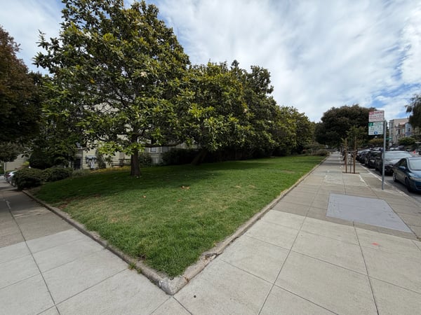 A tree-lined urban park with manicured lawn and sidewalk in a San Francisco residential neighborhood. — Haight-Ashbury, San Francisco