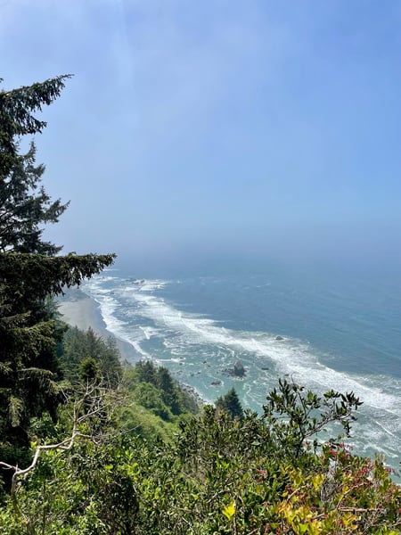 Coastal cliffs with coniferous forest overlook a sandy beach and Pacific Ocean waves near Klamath, California. — Redwood National Park