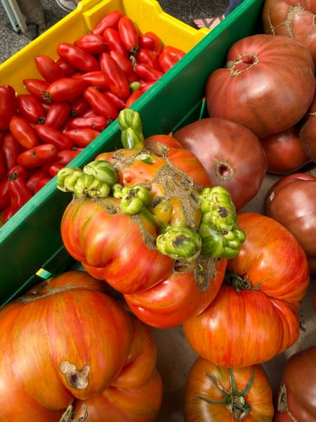 Fresh produce display at a farmers market featuring red peppers, heirloom tomatoes, and pomegranates in colorful bins. — Seattle