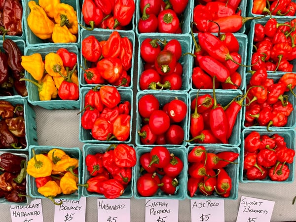 Fresh peppers and produce displayed in cardboard crates at a farmers market in Philadelphia. — Center City, Philadelphia