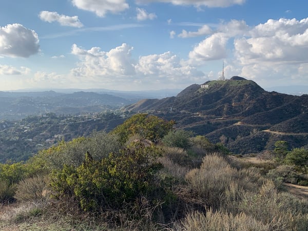 View of Griffith Observatory and Los Angeles basin from a hillside vantage point in Griffith Park, with chaparral… — Griffith Park, Los Angeles