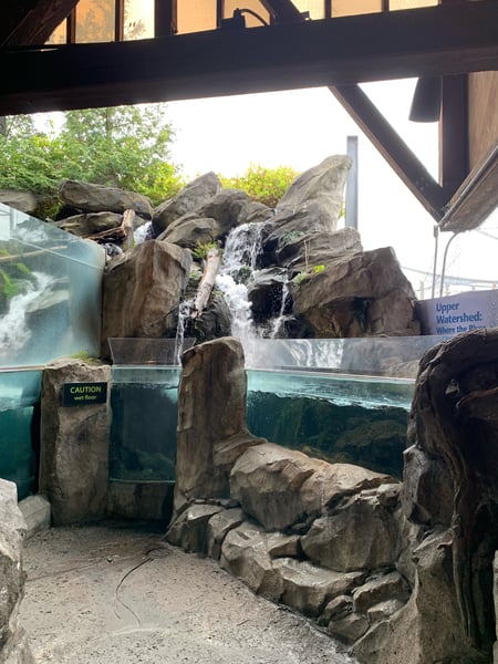 Indoor waterfall and aquarium exhibit with cascading water over rocks beneath a wooden structure. — Belltown, Seattle