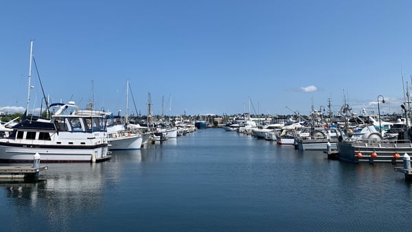 Moored sailboats and fishing vessels in a calm marina basin under clear skies, viewed from the waterfront. — Seattle