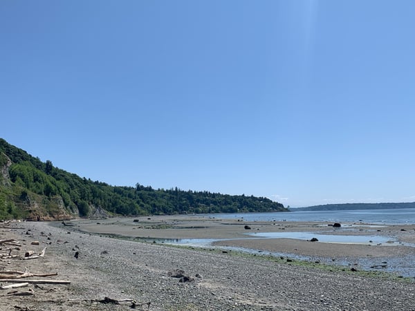 Rocky beach with tidal pools and forested bluffs along Puget Sound near Seattle, Washington. — Magnolia, Seattle