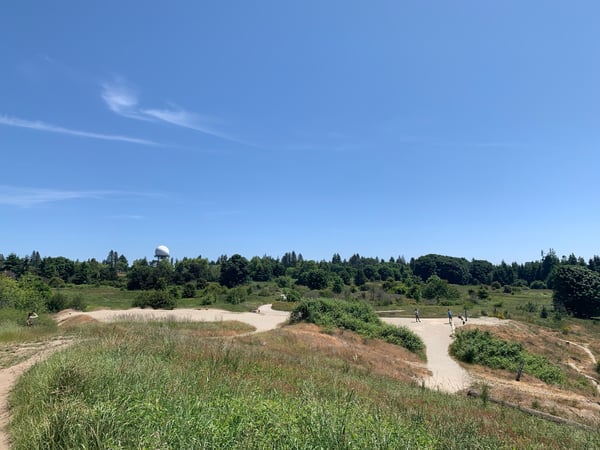 Sandy trail winding through native grassland and shrubland with forested ridgeline in background, Discovery Park… — Magnolia, Seattle