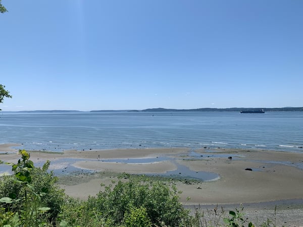 Sandy beach with tidal pools overlooking a calm bay with forested islands in the distance, viewed from Magnolia… — Magnolia, Seattle