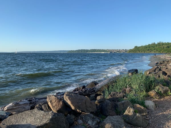 Rocky shoreline with waves and forested coastline across the water, likely Puget Sound near Seattle. — Magnolia, Seattle
