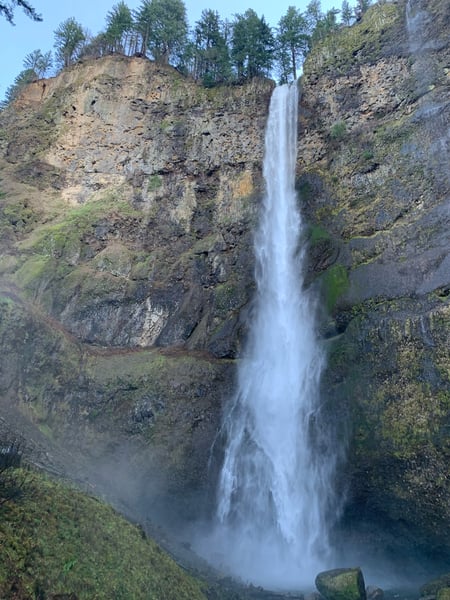 Tall waterfall cascading down moss-covered basalt cliffs in a forested canyon, viewed from the base. — Columbia River Gorge