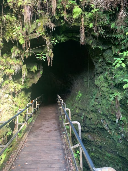 Wooden boardwalk descending into a lush cave entrance with hanging vines and moss-covered rock walls. — Big Island, Hawaii