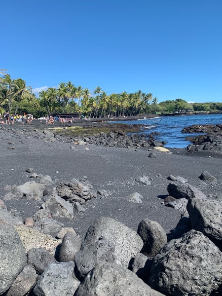 Black sand beach with lava rock formations and palm trees lining the shore in Pahala, Hawaii. — Punalu'u Black Sand Beach, Big Island, Hawaii
