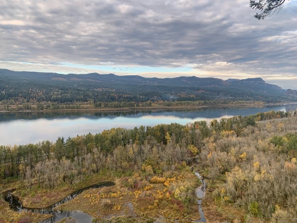Expansive autumn forest landscape with a wide river valley and distant mountains under partly cloudy skies, viewed from… — Columbia River Gorge