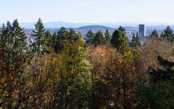 Autumn forest vista overlooking Portland's downtown skyline and distant Cascade Mountains from an elevated vantage… — Portland Japanese Garden, Portland