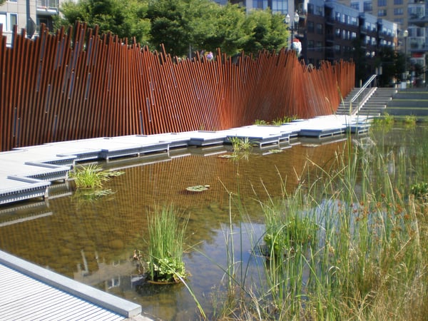 Modern urban park with distinctive rust-colored corrugated metal fence, naturalized pond with native plantings, and… — Pearl District, Portland