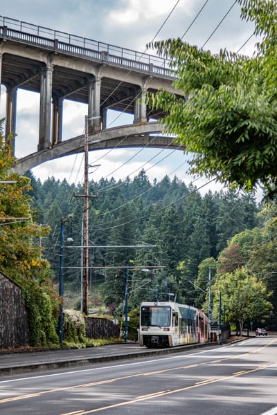 MAX Red Line light rail train passing beneath a massive concrete highway overpass surrounded by dense forest. — Goose Hollow, Portland