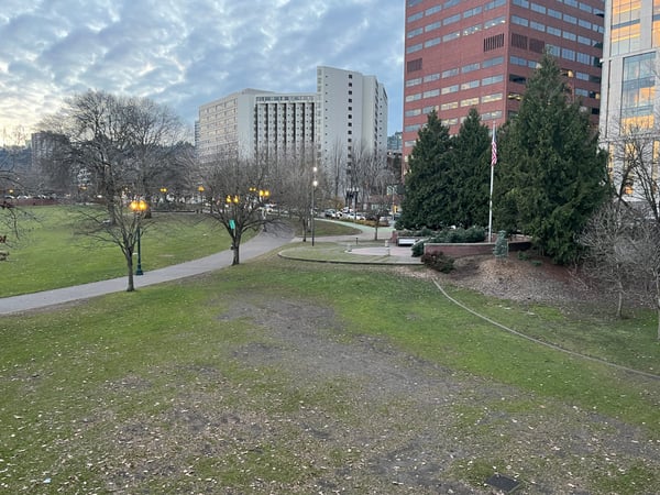 Urban park with manicured lawns and pathways surrounded by mid-rise residential and office buildings during winter… — Tom McCall Waterfront Park, Portland