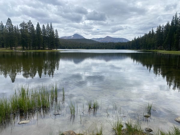 Alpine lake with coniferous forest and snow-capped peaks reflected in still water, viewed from the shoreline. — Yosemite National Park