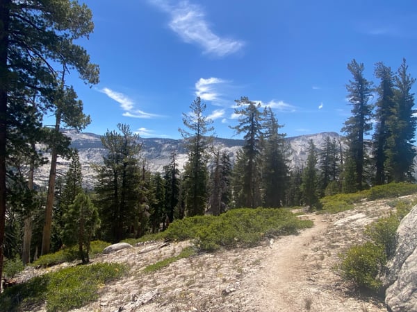 Mountain trail through coniferous forest with distant granite peaks and valley views in Yosemite Valley. — Yosemite National Park