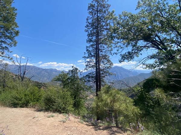 Mountain valley vista with layered ridges and mixed forest vegetation viewed from a hillside overlook in the Sierra… — Sequoia & Kings Canyon