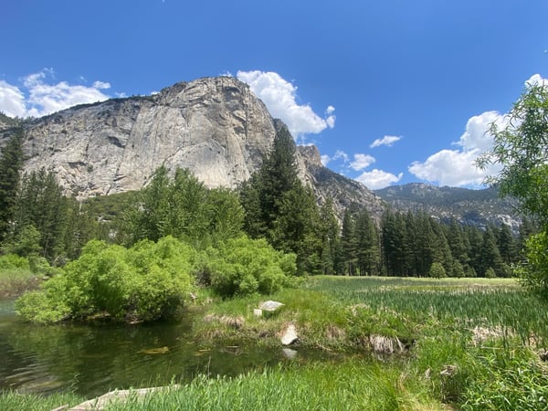 Granite cliff face and forested valley with river and meadow in spring, viewed from a riverside vantage point. — Sequoia & Kings Canyon