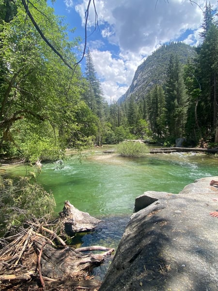Emerald river flowing through a forested canyon with granite cliffs and coniferous trees in Kings Canyon National Park. — Sequoia & Kings Canyon